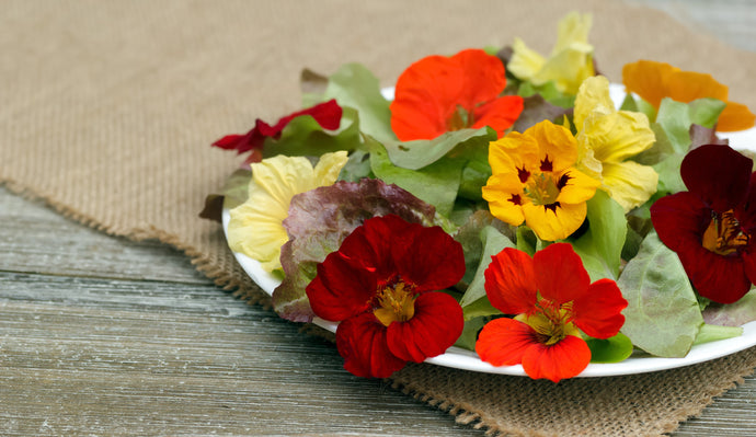 Edible Flowers: Part Two