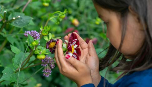 A SIMPLE EASTER ACTIVITY: BUILD YOUR OWN BEE HOTEL