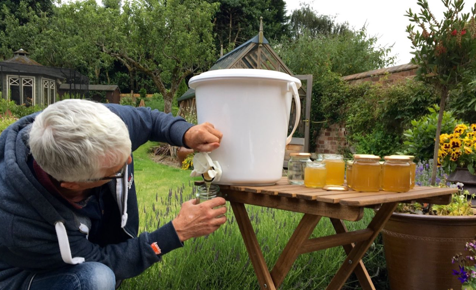 honey harvest