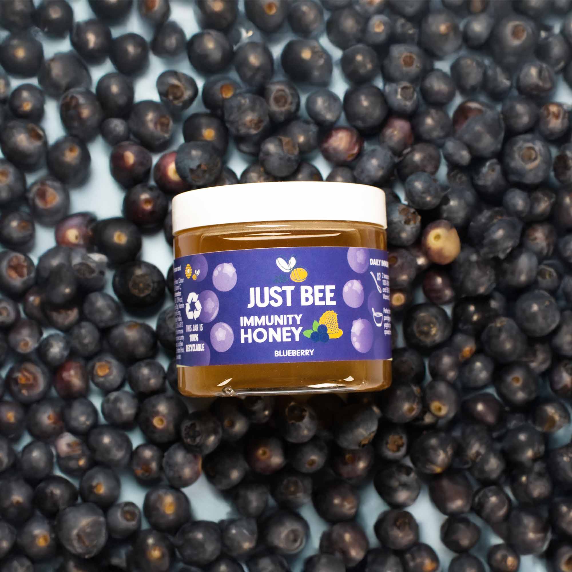LIMITED EDITION Blueberry Immunity Honey (260g)