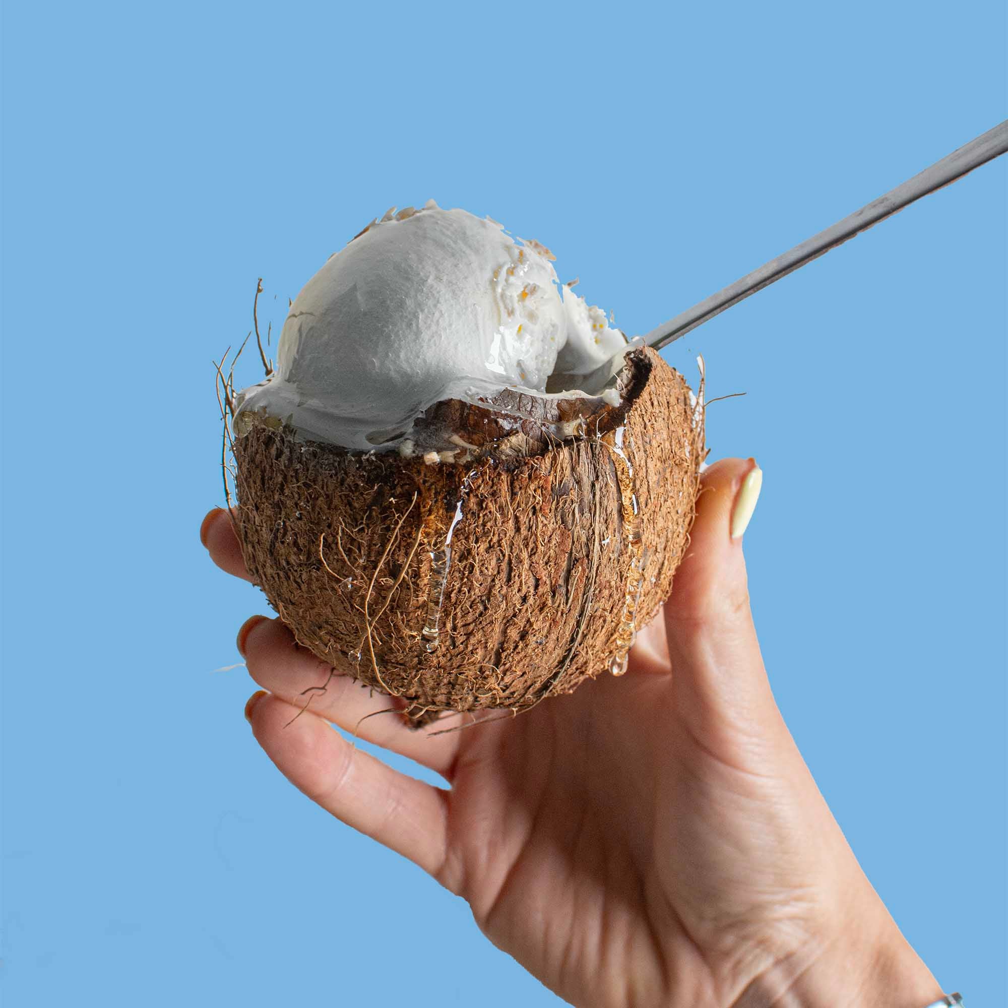 LIMITED EDITION Coconut Immunity Honey Multipack (3x260g)