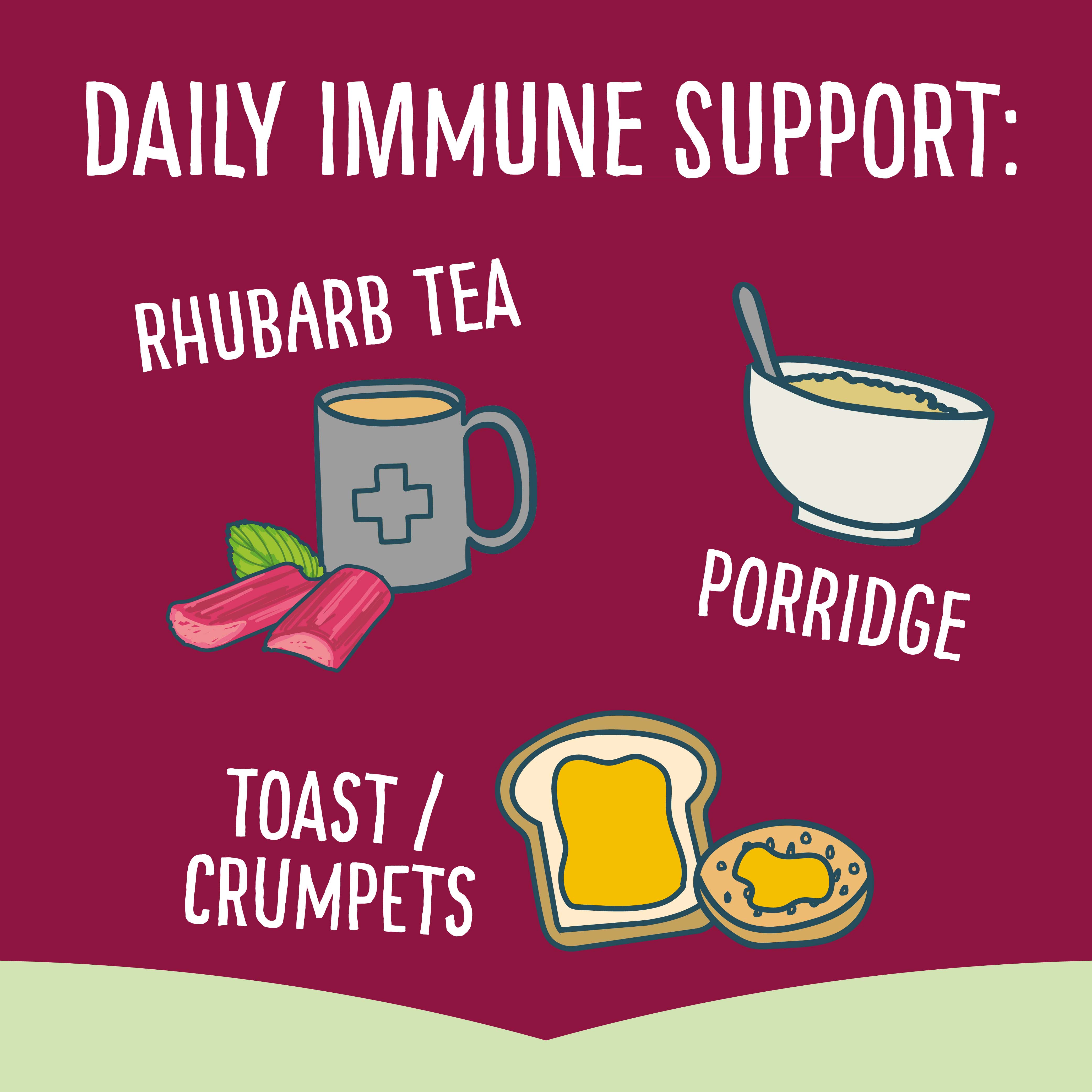 LIMITED EDITION Rhubarb Immunity Honey (260g)
