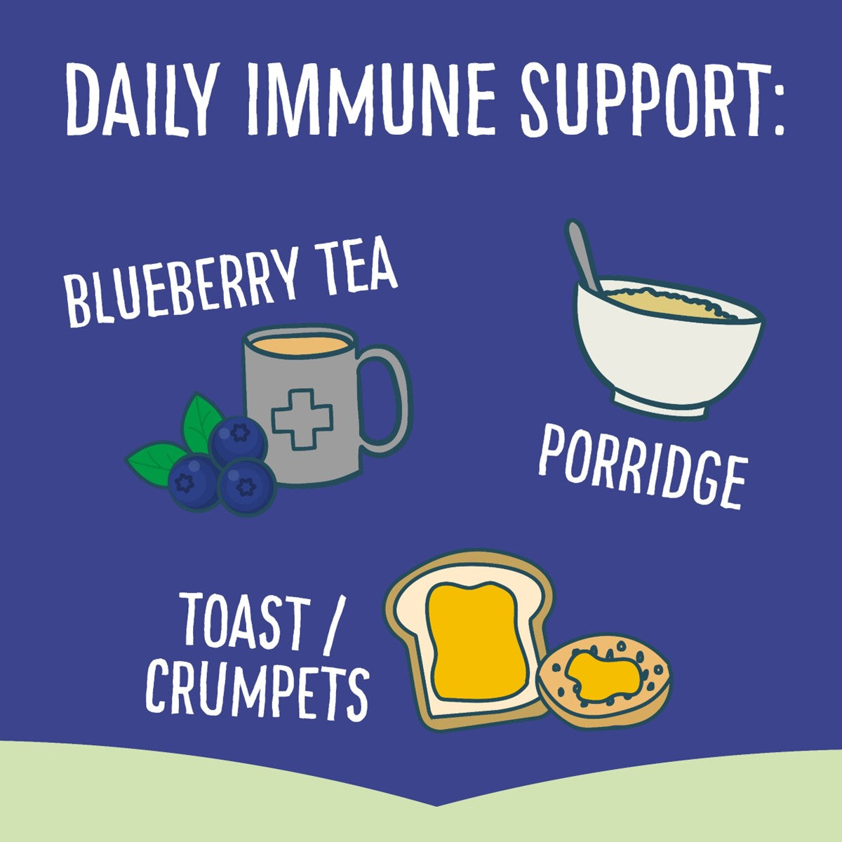 LIMITED EDITION Blueberry Immunity Honey (260g)