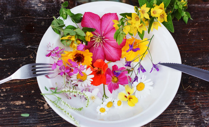 Edible Flowers You Can Use In Your Kitchen