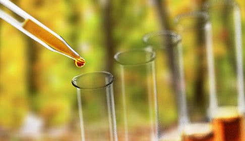 Royal Jelly: Debunking Myths and Embracing the Benefits