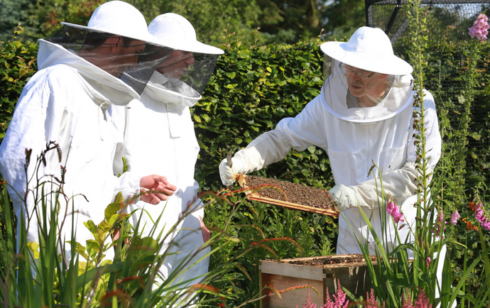 How to become a beekeeper