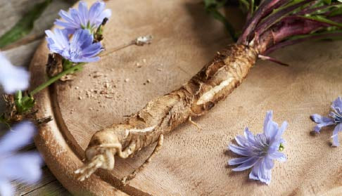 The Science of Fibre: Why Your Gut Loves It