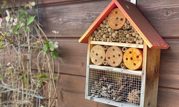 How to make a bee hotel