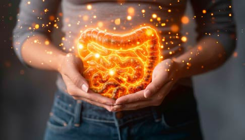 Why Your Gut is the Secret to Better Health