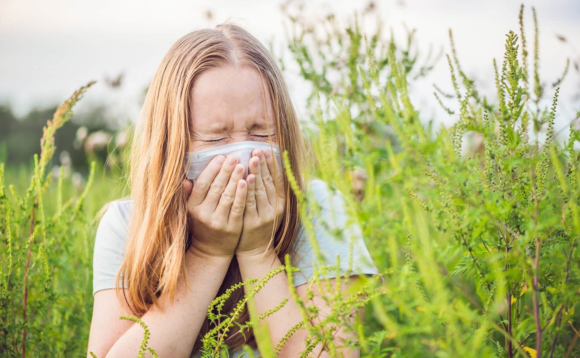 Does honey help hay-fever?