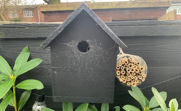 How to make a bee hotel - step by step