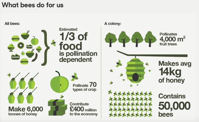 Amazing facts about bees