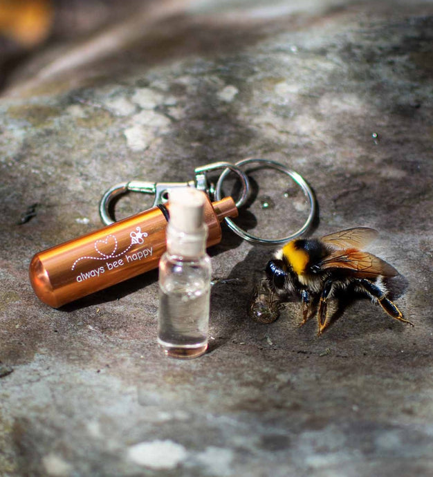 Emergency Bee Revival Kit