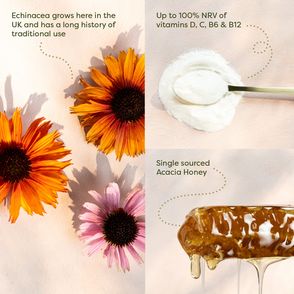 Orange Immunity Honey (260g)
