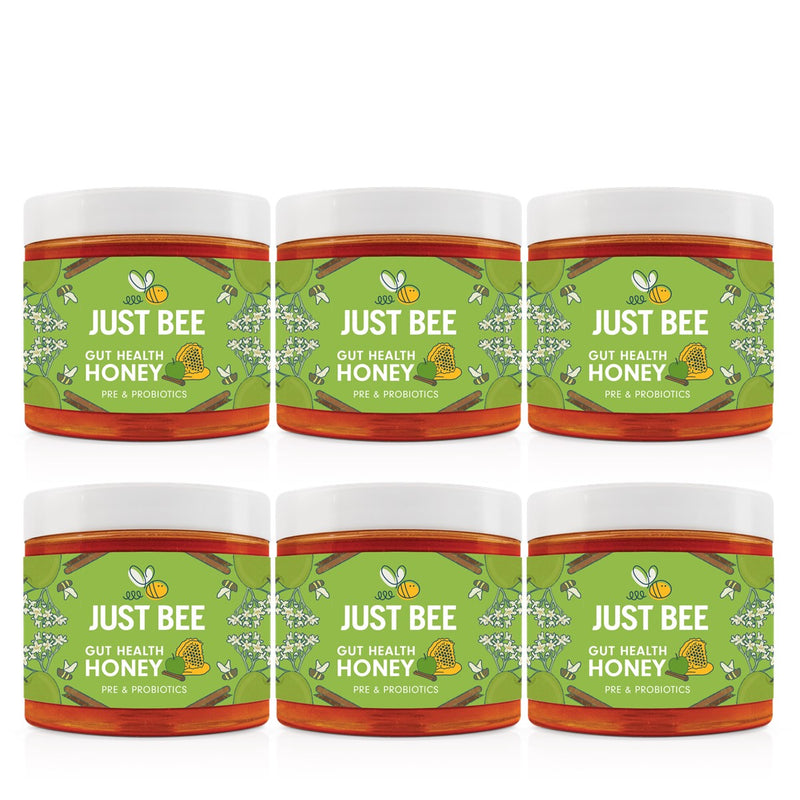 Gut Health Honey - Apple & Cinnamon with Pre and Probiotics (6x260g)