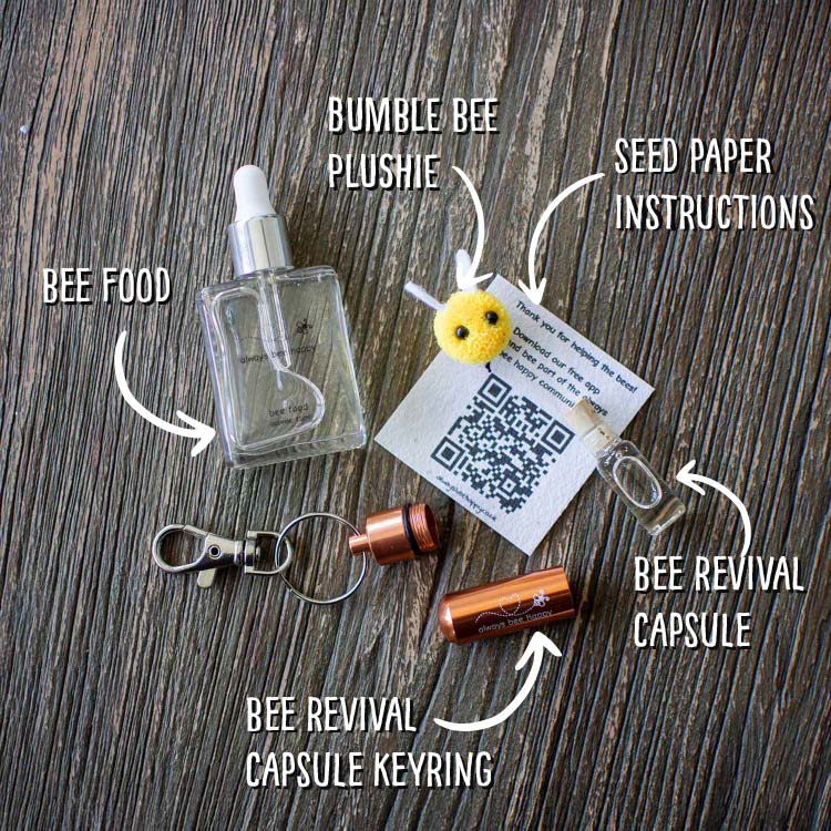 Emergency Bee Revival Kit