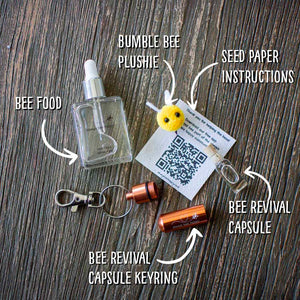 Emergency Bee Revival Kit