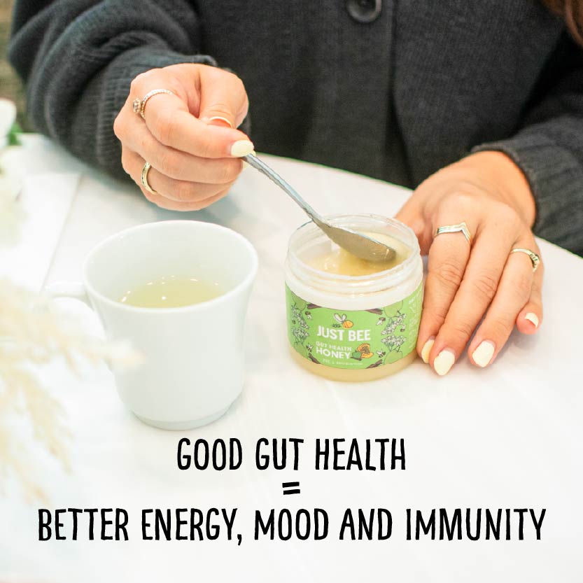 Gut Health Honey - Apple & Cinnamon with Pre and Probiotics (3x260g)