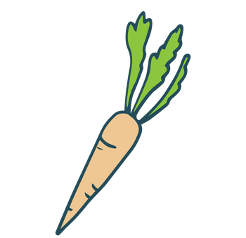 Prebiotic - Chicory Root Fibre