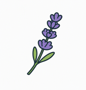 Lavendar