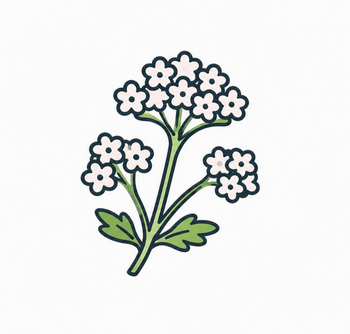 Valerian