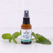 Load image into Gallery viewer, Propolis &amp; Vitamin Throat Spray (30ml)