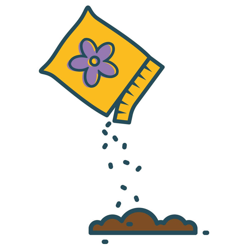 wildflower seeds uk free Box of bee saving seeds x 100 packets